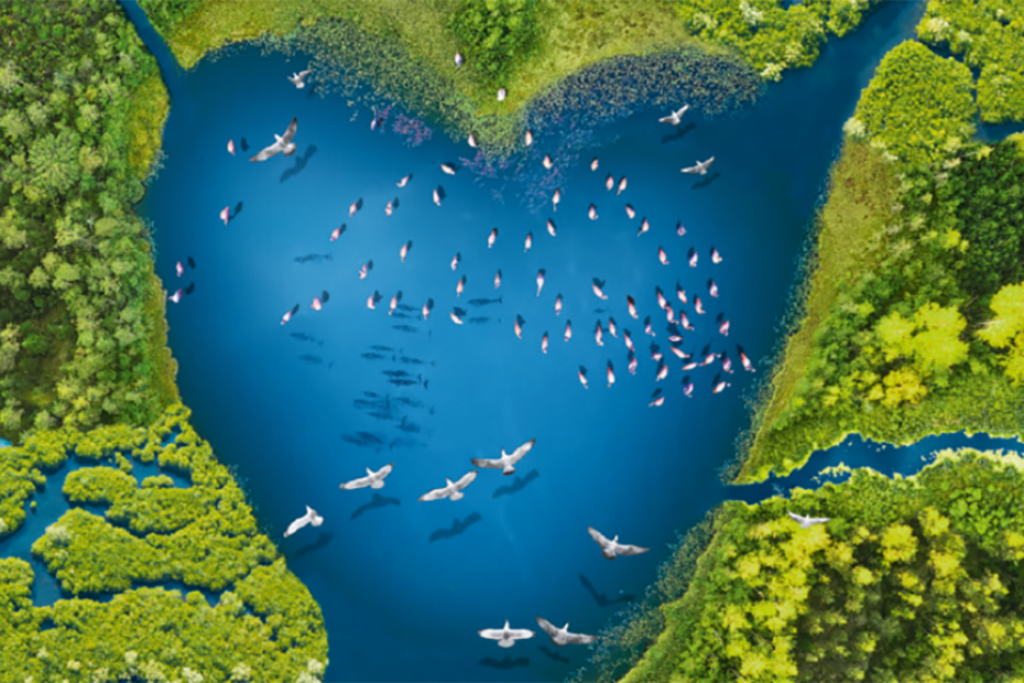 A Heart shaped lake surrounded by greenery