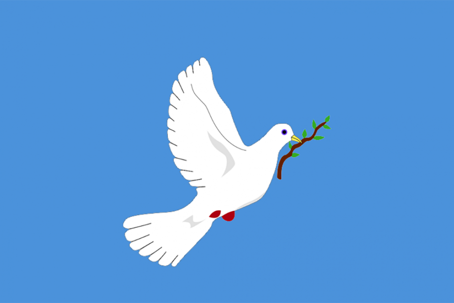 Depiction of a white dove flying holding an olive branch on a sky blue background.