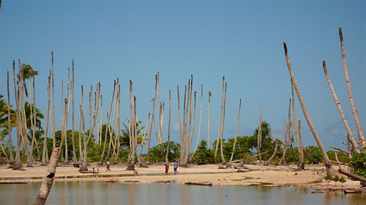 Rising Tides, Raising Voices - Office For Justice, Ecology and Peace