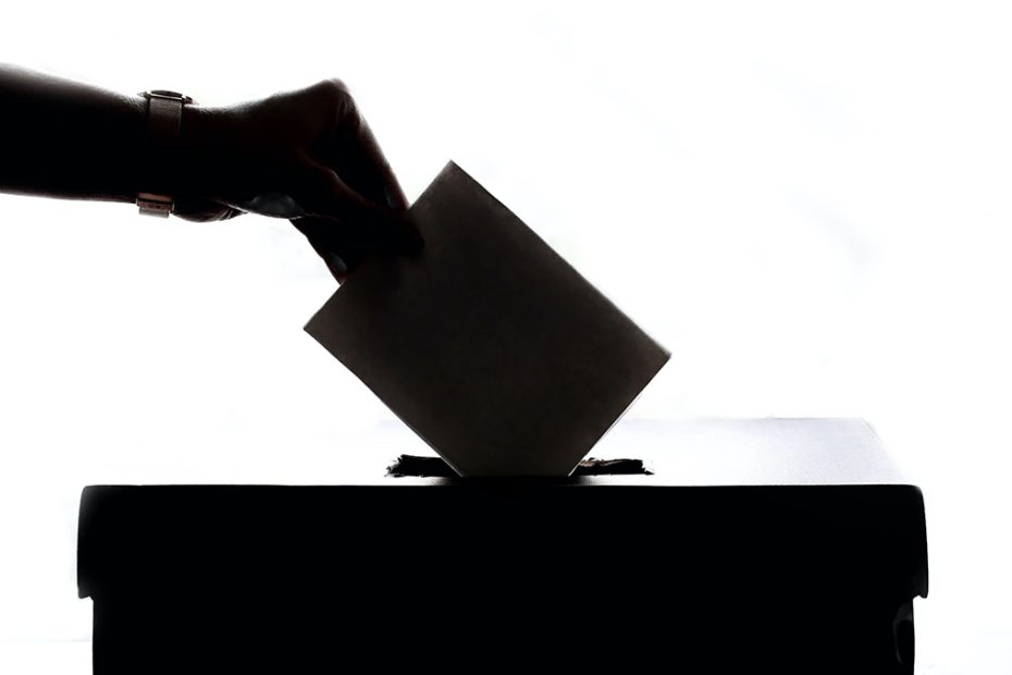 The silhouette of a person putting a ballot in a ballot box.