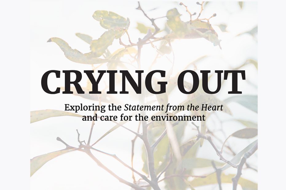 The text: "Crying Out: Exploring the Statement from the Heart and care for the environment" is in the centre of the picture with a faded slightly white picture of a native plant in the background.
