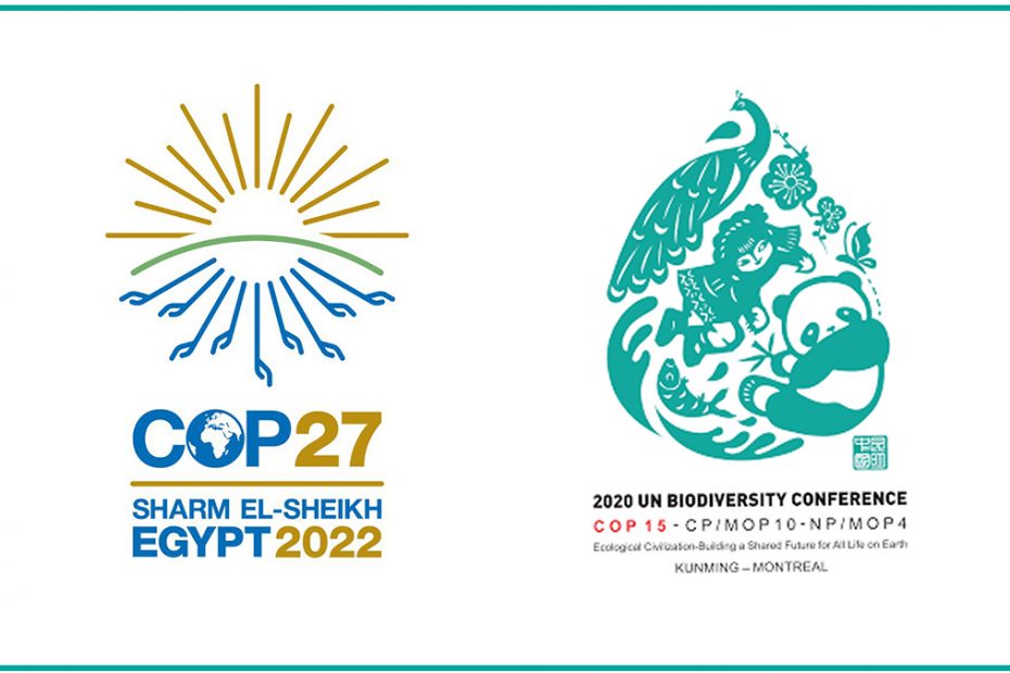 The two emblems of COP27 and COP15 on a white background and aqua border.