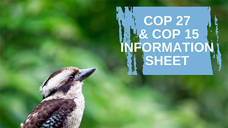 Kookaburra looking up against a background of green foliage. "COP 27 and COP 15 information sheet" is written in white on a background of light blue on the top right hand side of the image.