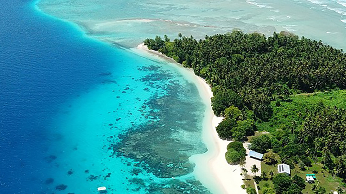 Laudato Si Action Plan Office For Justice Ecology And Peace