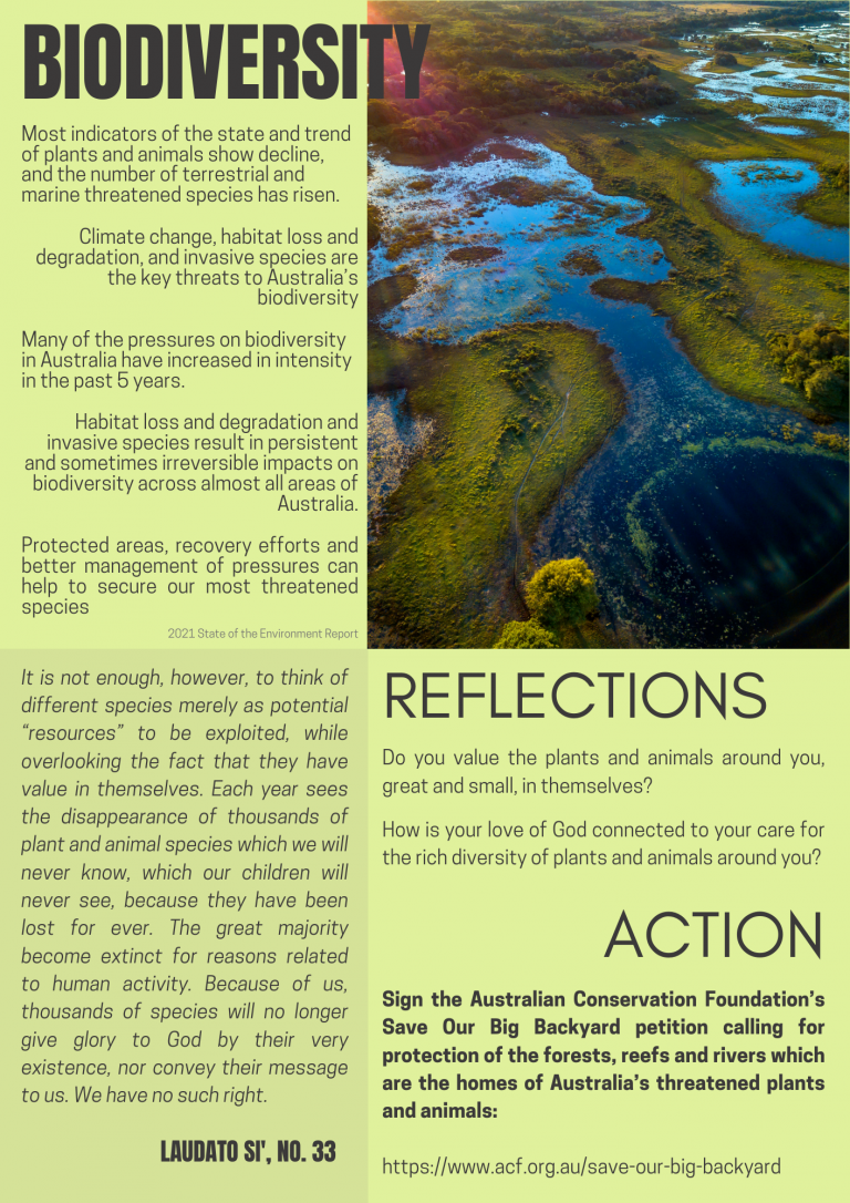 Laudato Si' Week 2023 Resources - Office For Justice, Ecology And Peace