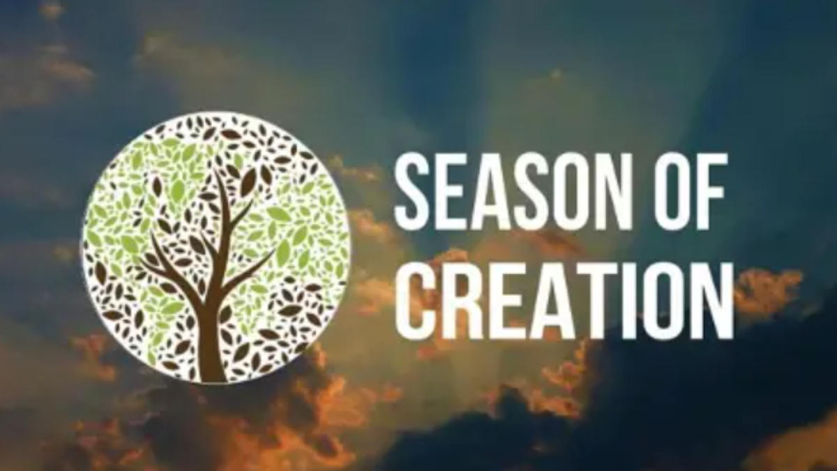 Season of Creation 2024 Office For Justice, Ecology and Peace